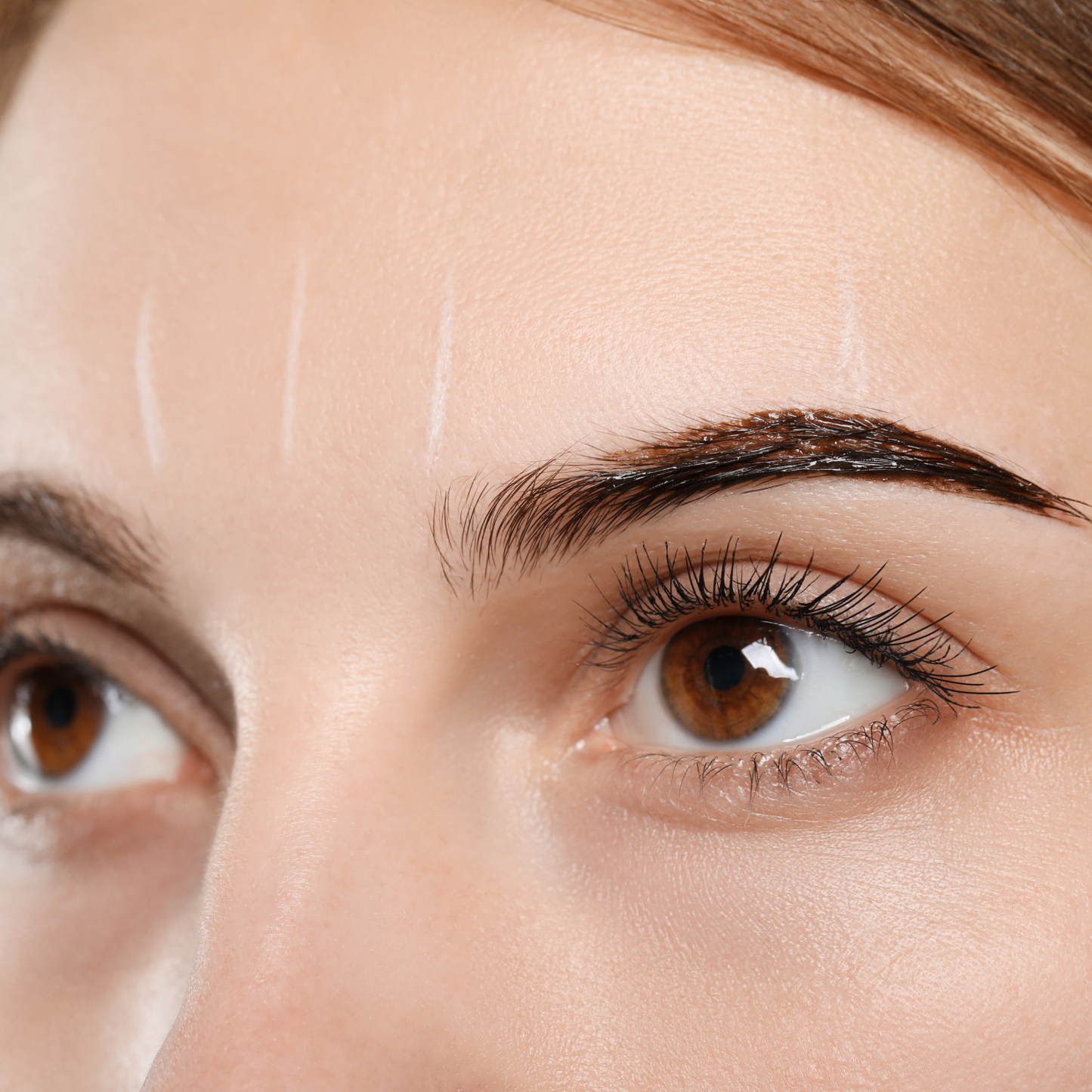 Eye Combo (Eyelash Tint | Eyebrow Tint | Eyebrow Wax)